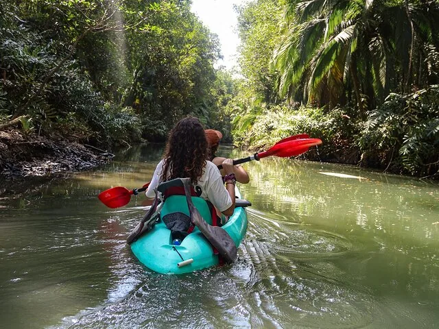 Two people kayak down a narrow river surrounded by dense green vegetation