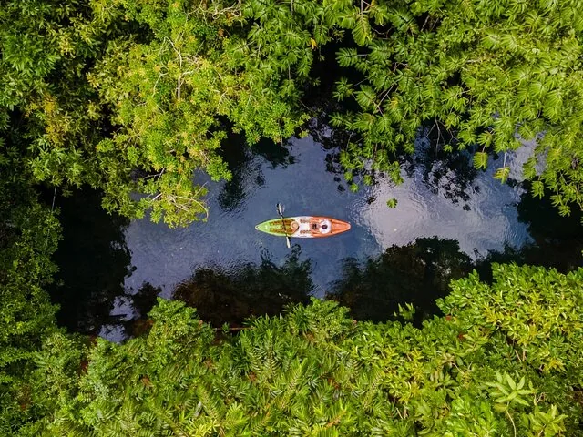 Draufsicht auf zwei Personen beim Kajakfahren auf einem ruhigen, von Bäumen umgebenen Fluss