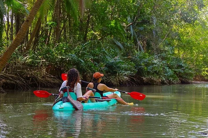 Zwei Personen beim Kajakfahren auf einem ruhigen Fluss, umgeben von üppiger tropischer Vegetation