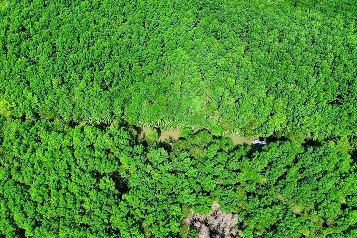Luftaufnahme eines Bootes, das einen von dichtem grünem Wald umgebenen Fluss befährt