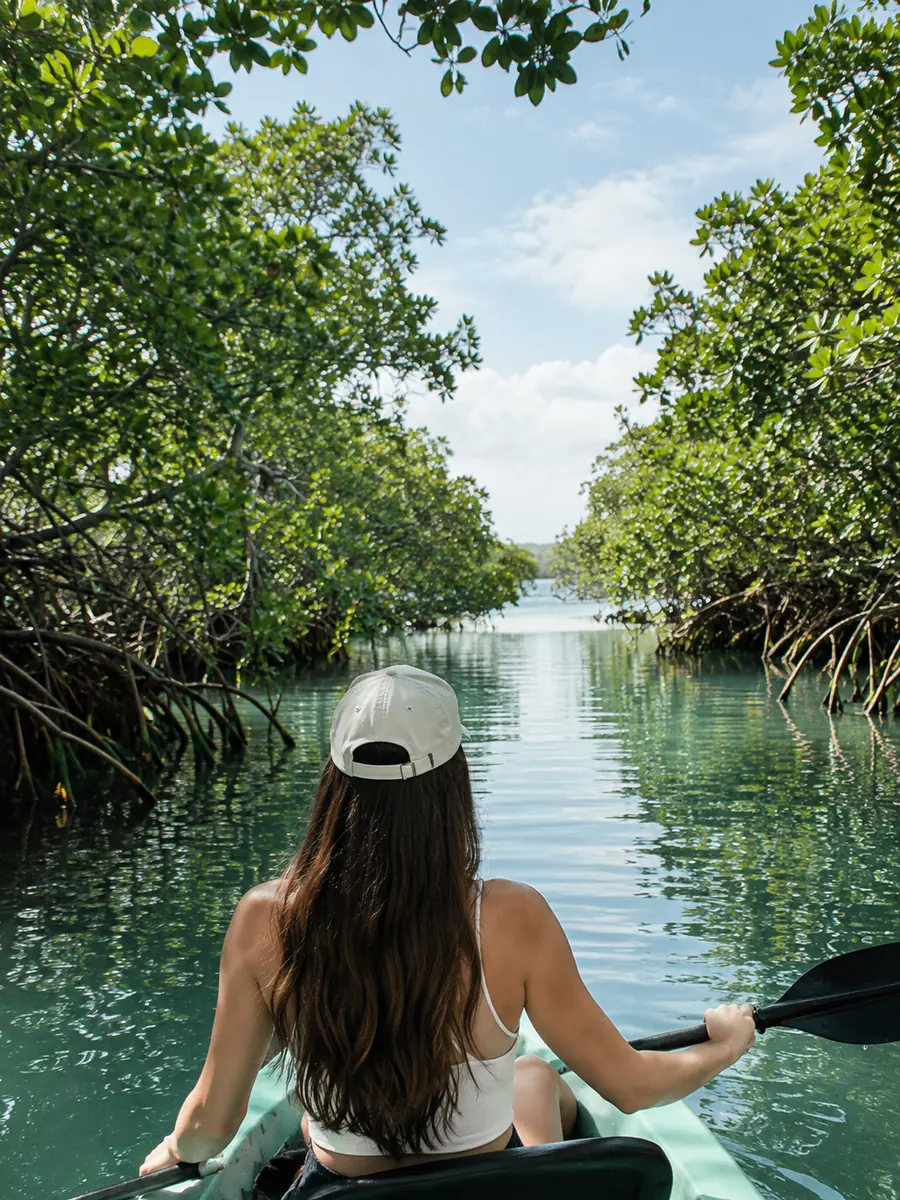 Ausblick bei den Mangroven-Boot- und Kajaktouren auf Isla Damas